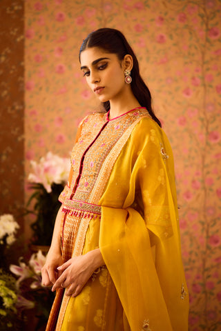 Amber Mustrad Yellow Anarkali Suit