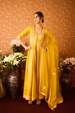 Gold Yellow Mustard Anarkali Suit