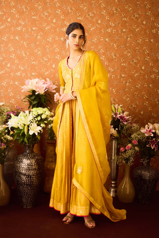 Gold Yellow Mustard Anarkali Suit