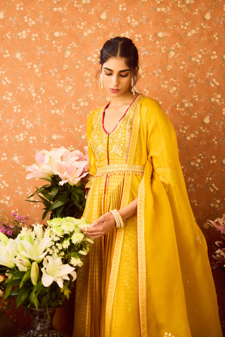 Gold Yellow Mustard Anarkali Suit