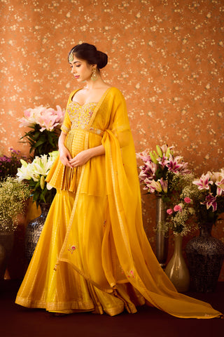 Gold Yellow Mustard Kurta Sharara Set