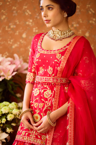 Raspberry Red Maroon Kurta Lehenga Set