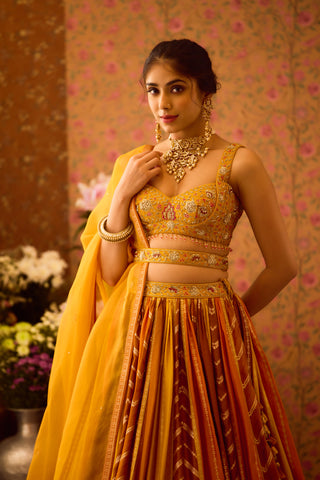 Gold Yellow Mustard Lehenga Set