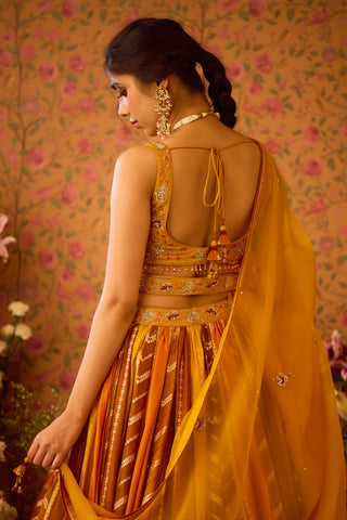 Gold Yellow Mustard Lehenga Set