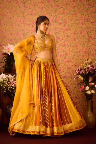 Gold Yellow Mustard Lehenga Set