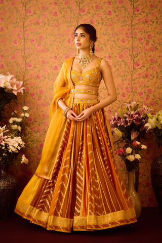 Gold Yellow Mustard Lehenga Set