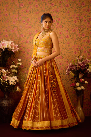 Gold Yellow Mustard Lehenga Set