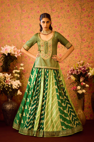 Jasper Green Choli Lehenga Set