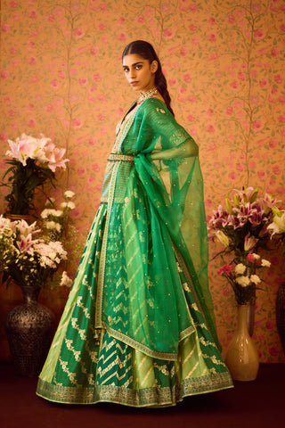 Jasper Green Choli Lehenga Set