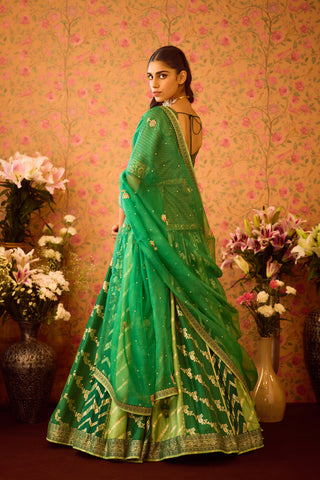 Jasper Green Choli Lehenga Set