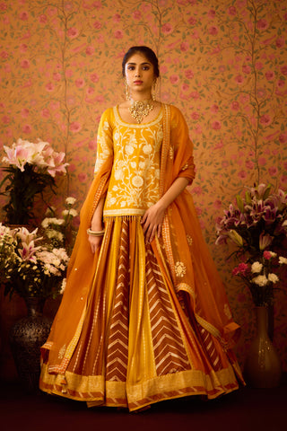 Yam Golden Yellow Mustard Choli Lehenga Set