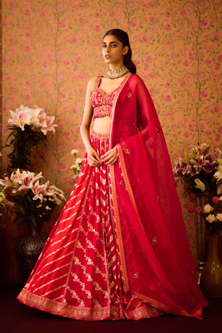 Scarlet Red Maroon Lehenga Set