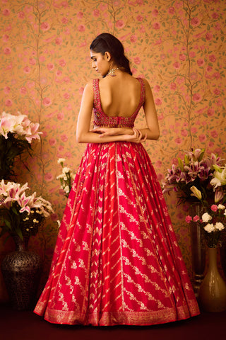 Scarlet Red Maroon Lehenga Set