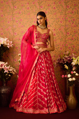 Scarlet Red Maroon Lehenga Set