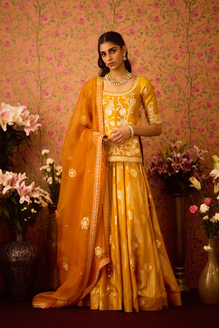 Gold Yellow Choli Skirt Set