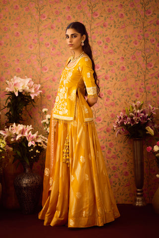 Gold Yellow Choli Skirt Set