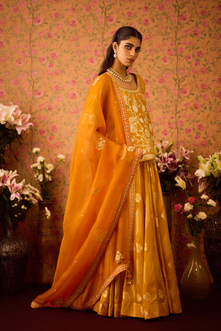 Gold Yellow Choli Skirt Set