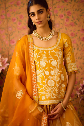 Gold Yellow Choli Skirt Set