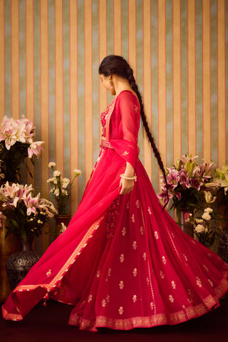 Scarlet Red Maroon Lehenga Set