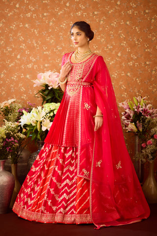 Scarlet Red Maroon Lehenga Set