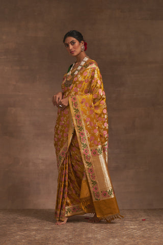 'Akash Kusum' Pitambari Gyasar Benarasi Handloom Sari