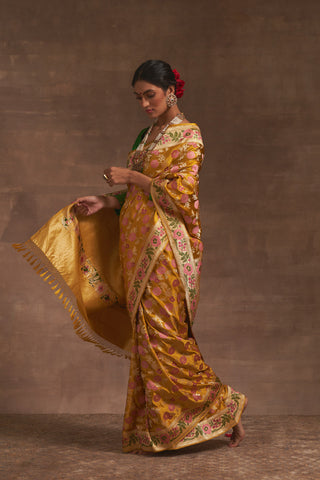 'Akash Kusum' Pitambari Gyasar Benarasi Handloom Sari