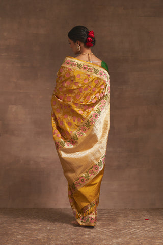 'Akash Kusum' Pitambari Gyasar Benarasi Handloom Sari