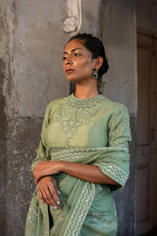 A pista green embroidered saree with high neck blouse