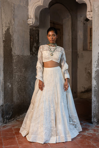 A hand embroidered lehenga set paired with blouse and duptta