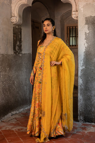 A printed koti style anarkali with duptta