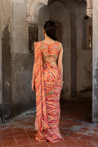 A pre-draped saree set with hand embroidered blouse