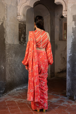 A pre-draped saree set with hand embroidered blouse