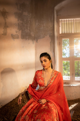 A tommato red embroidered lehenga with v neck blouse and duptta