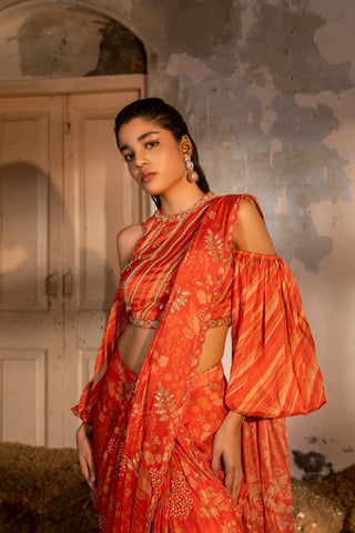 A pre-draped saree set with hand embroidered blouse