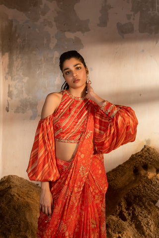 A pre-draped saree set with hand embroidered blouse