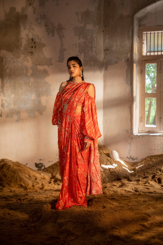 A pre-draped saree set with hand embroidered blouse