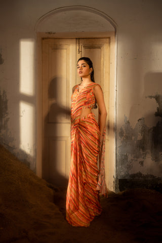 A pre-draped saree set with hand embroidered blouse