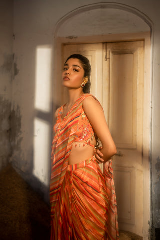 A pre-draped saree set with hand embroidered blouse