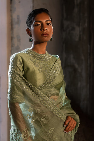 A pista green embroidered saree with high neck blouse